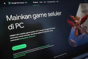 Google Play Game PC