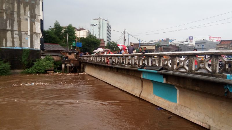 Penanganan Krisis Lingkungan di Puncak: Tindakan Kementerian Lingkungan Hidup terhadap Banjir dan Longsor